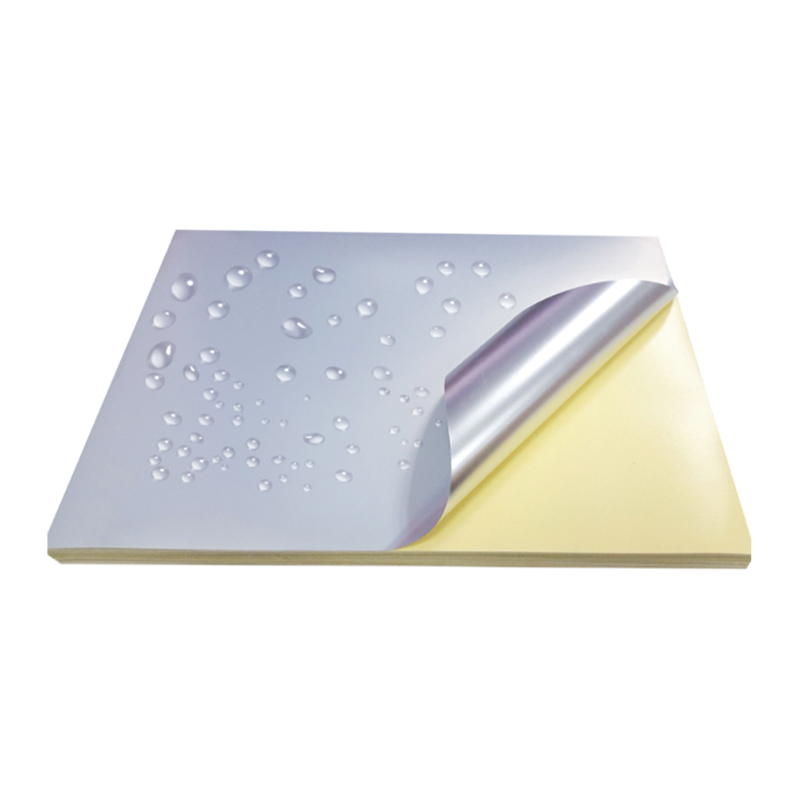 Pellicola per animali domestici argento opaco da 50um con rivestimento in silicone giallo