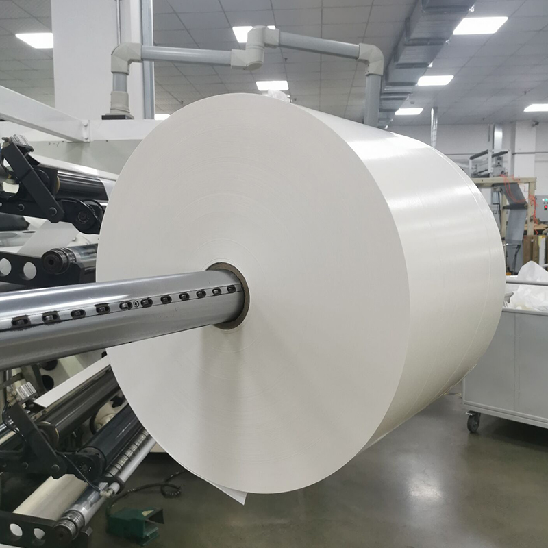 PET bianco brillante da 25 um/adesivo solvente acrilico/liner bianco da 80 g