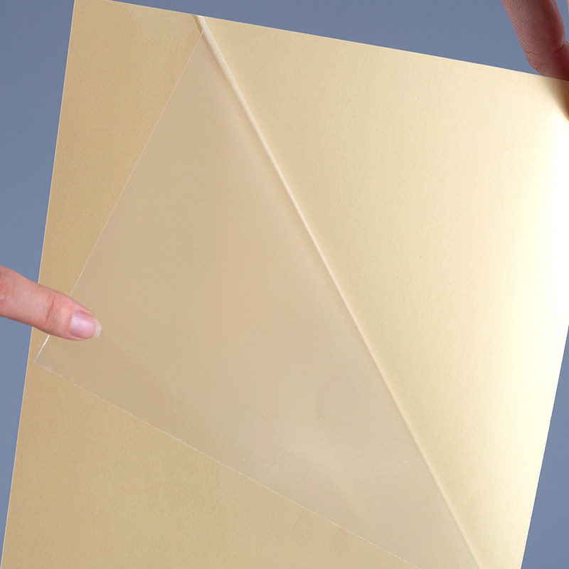 Rotolo Jumbo di etichette autoadesive in vinile con pellicola in poliestere autoadesiva trasparente da 50 mic