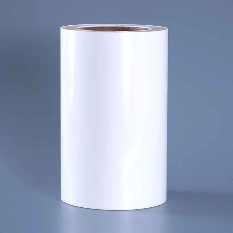 Pellicola in PET trasparente da 25 mic con etichette in poliestere trasparente adesive rimovibili