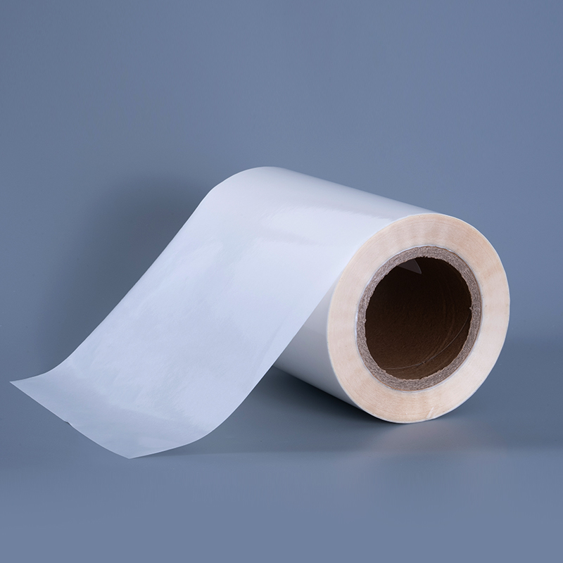 Pellicola in PET trasparente da 25 mic con etichette in poliestere trasparente adesive rimovibili