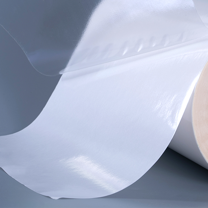 Rotolo Jumbo di etichette autoadesive in vinile con pellicola in poliestere autoadesiva trasparente da 50 mic