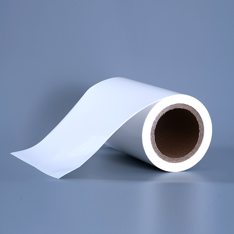 Materiali per etichette in pellicola vinilica PET lucida da 25 mic con rotolo jumbo adesivo acrilico per stampa a getto d'inchiostro