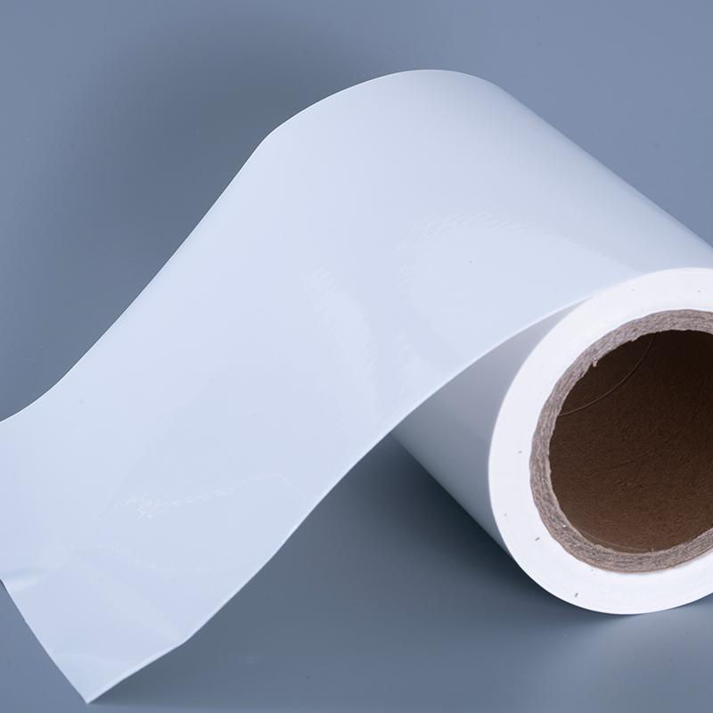 Materiali per etichette in pellicola vinilica PET lucida da 25 mic con rotolo jumbo adesivo acrilico per stampa a getto d'inchiostro