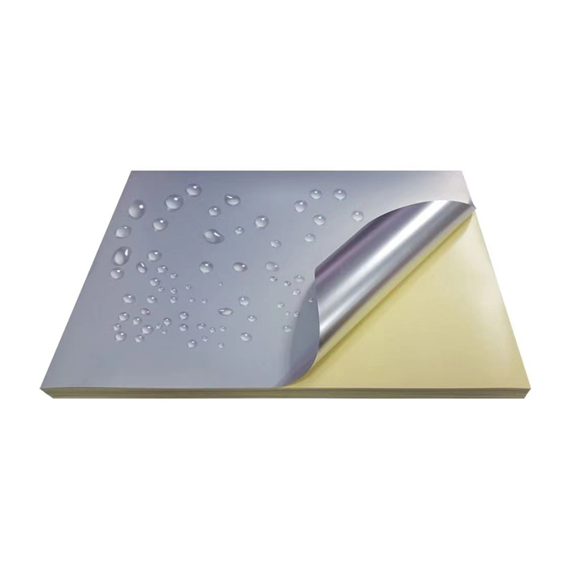 Materiali per etichette in PET argento opaco da 50 mic con forte adesivo solvente e rivestimento a base di olio