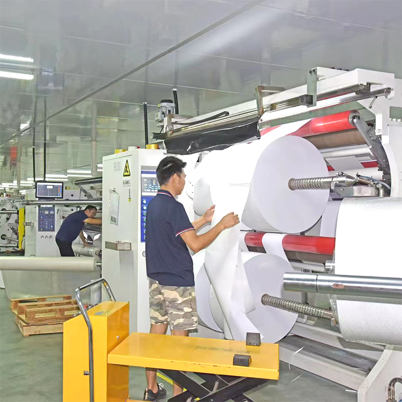 Pellicola autoadesiva in poliestere per stampanti laser