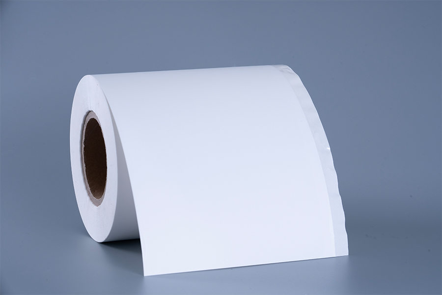 Etichetta per alimenti surgelati